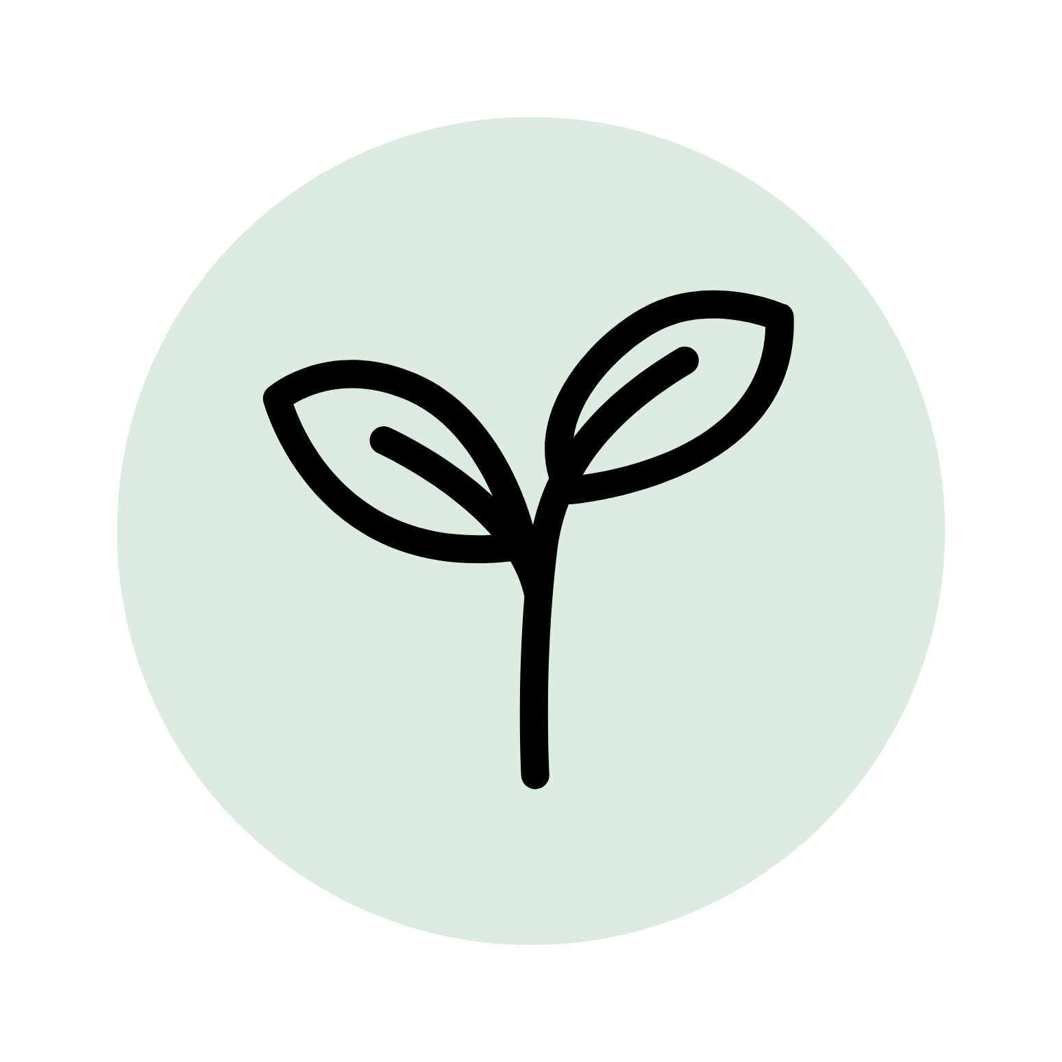 Seedling