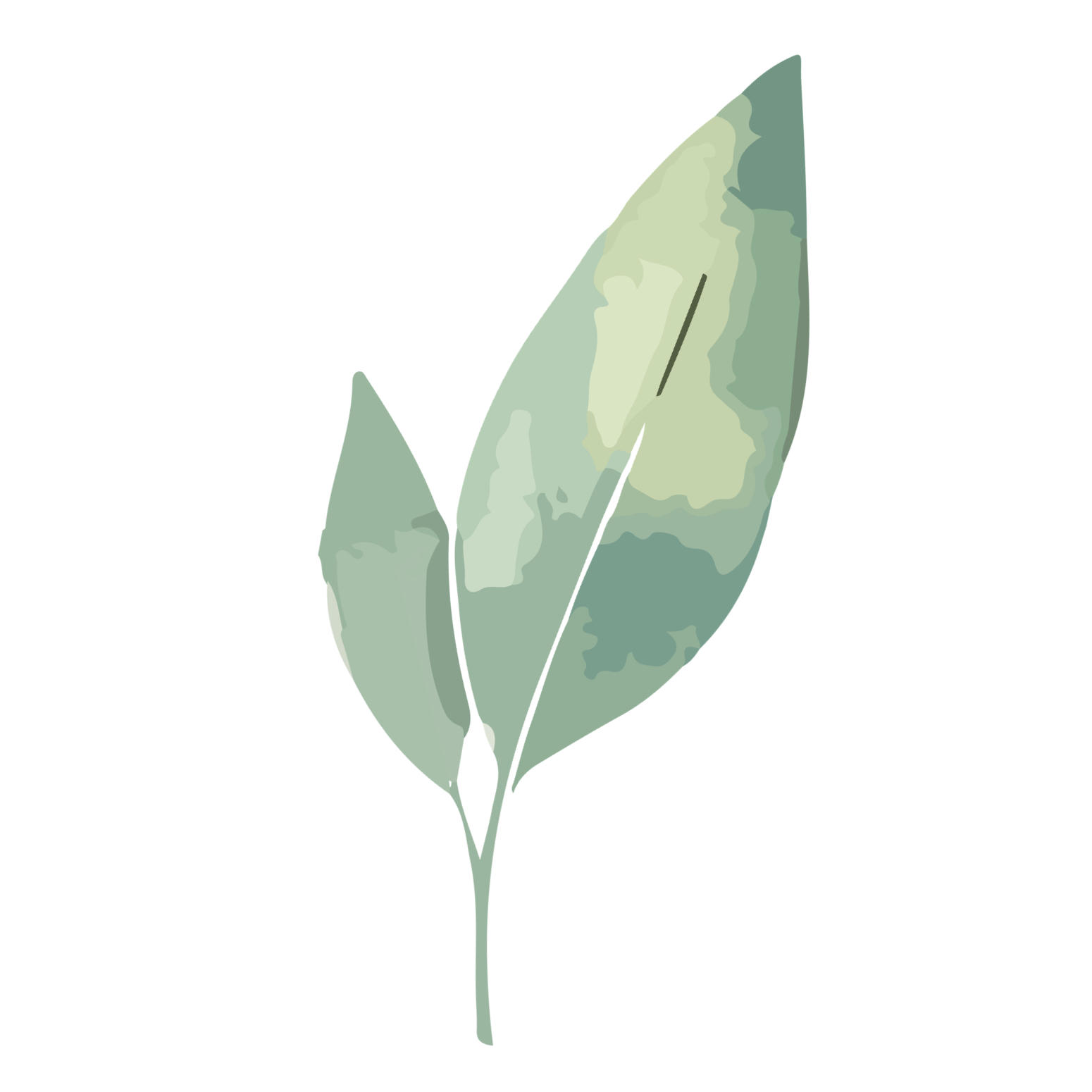 level